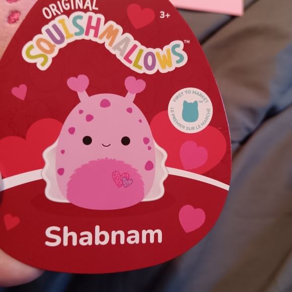 Squishmallows Valentines 2024 Release Shabnam the Sea Slug 5" FTM - Picture 3 of 5